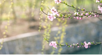 善用内外部证据解释专利权利要求