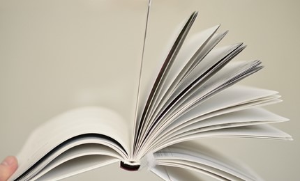 DIGITAL AND COMMERCIAL