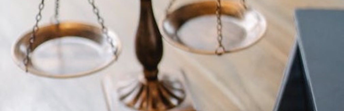 路盛代理ENZAFRUIT无性繁殖植物新品种民事案件胜诉,获得高额赔偿