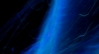 商业秘密热点问题解答专题(四)保护和管理